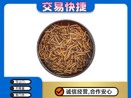 湘潭市湘乡回收散虫草